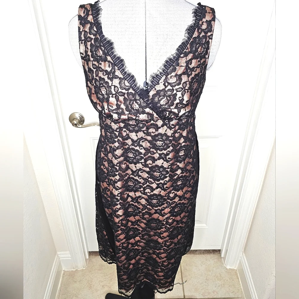 Classy Eliza J New York Black Lace & Nude Champagne Elegant Lady Cocktail Dress - Picture 11 of 15